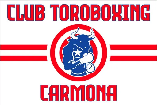 Club Toroboxing 