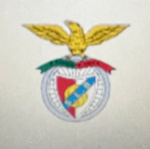 Sport Lisboa e Benfica 