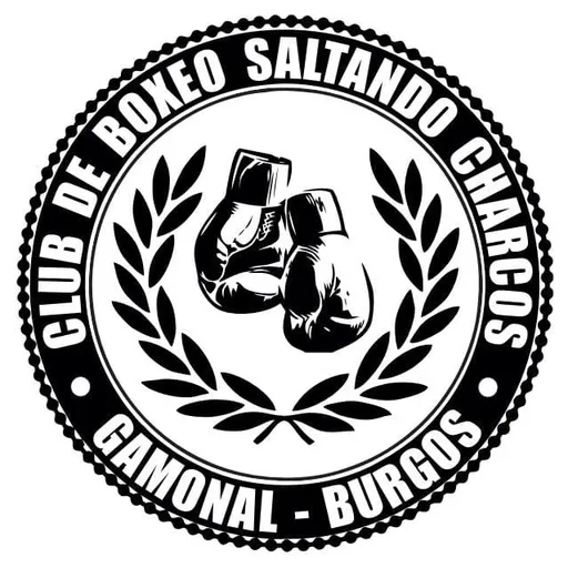 Escuela de Boxeo Saltando Charcos