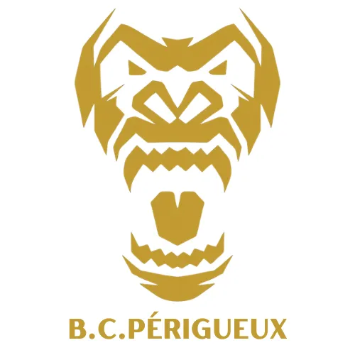 Boxing Club de Périgueux